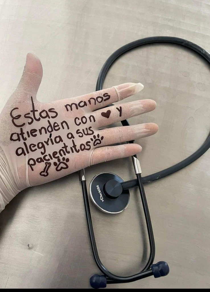 Dr Vet Estefany's avatar