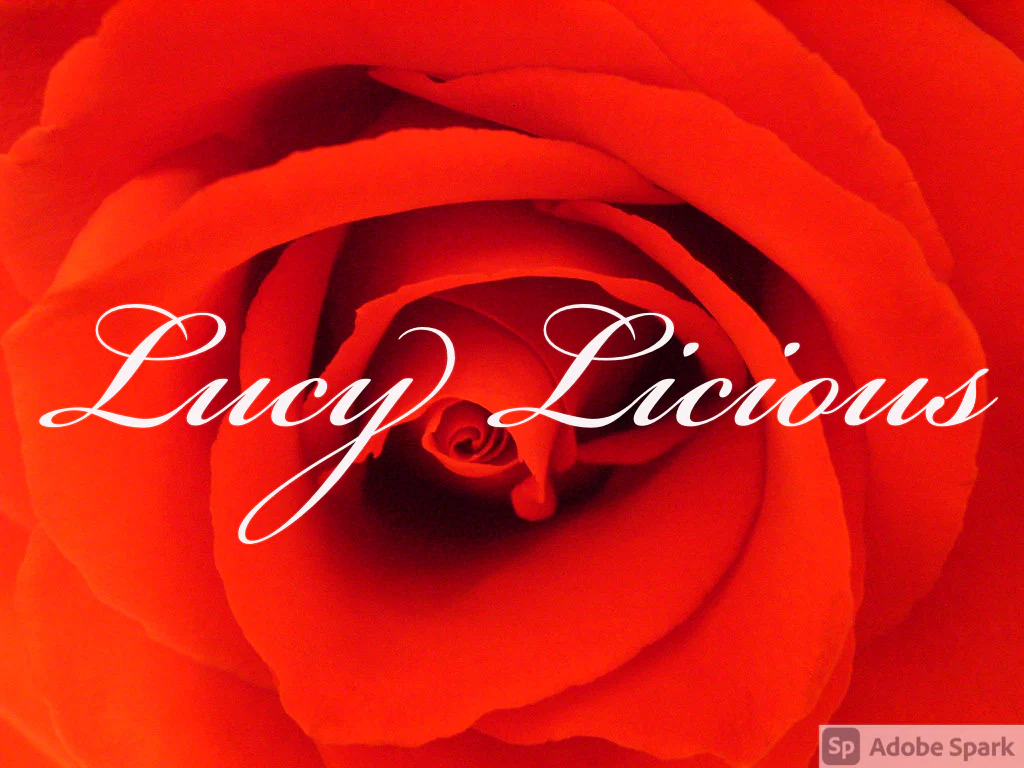 Lucy profile banner