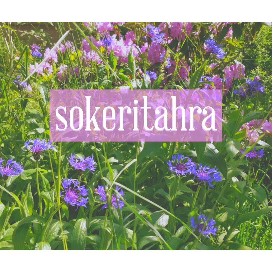 Sokeritahra profile banner
