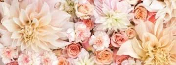 TheLittleMissMia profile banner