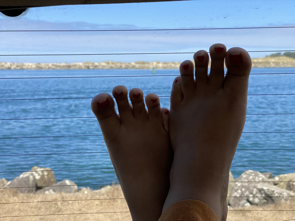 Her Wild Feet's avatar