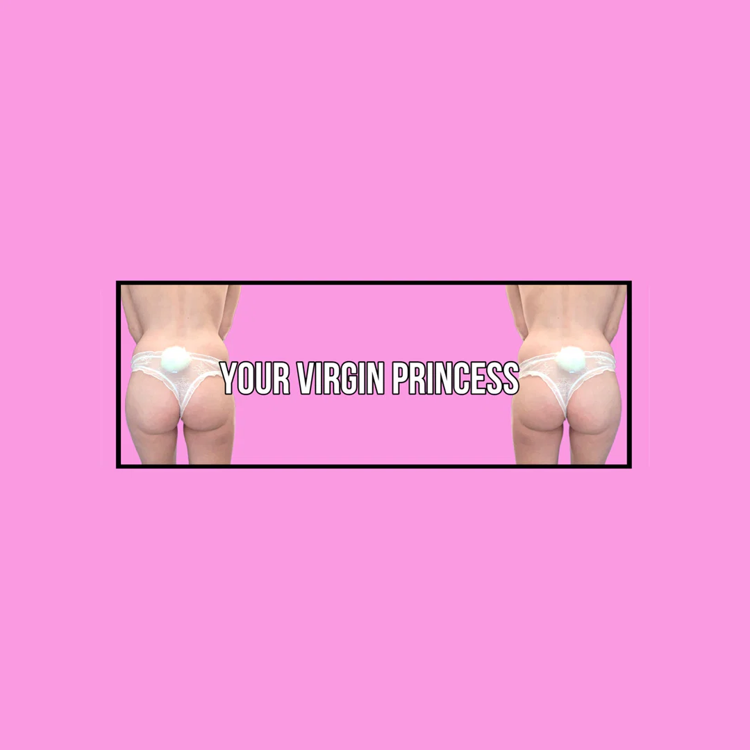 YOUR VIRGIN PRINCESS π profile banner