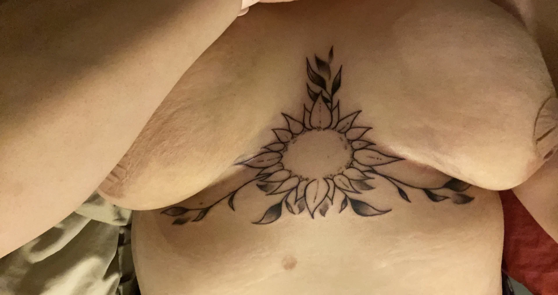 Charli Rose profile banner
