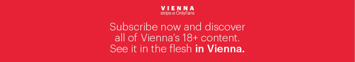 Vienna profile banner