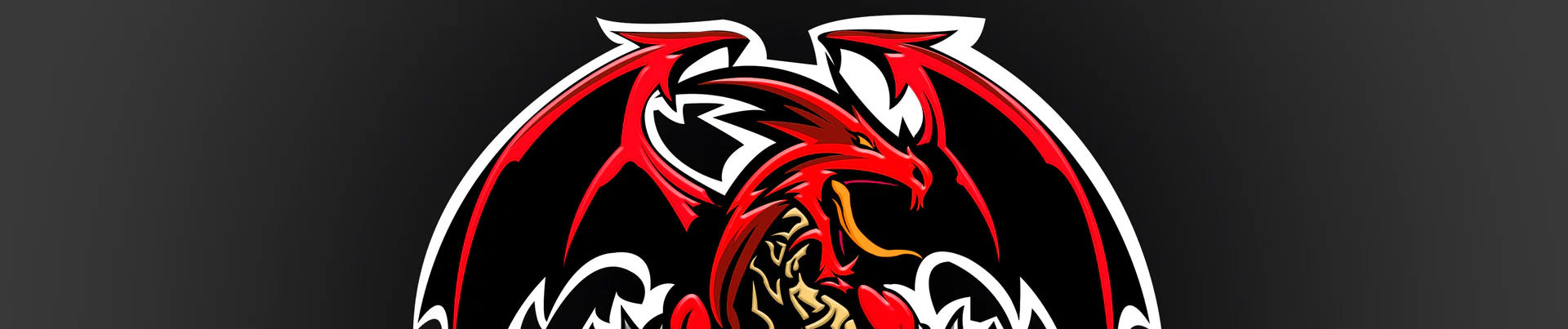 SkDragon360 profile banner