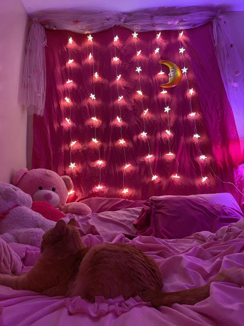 angel kitty profile banner