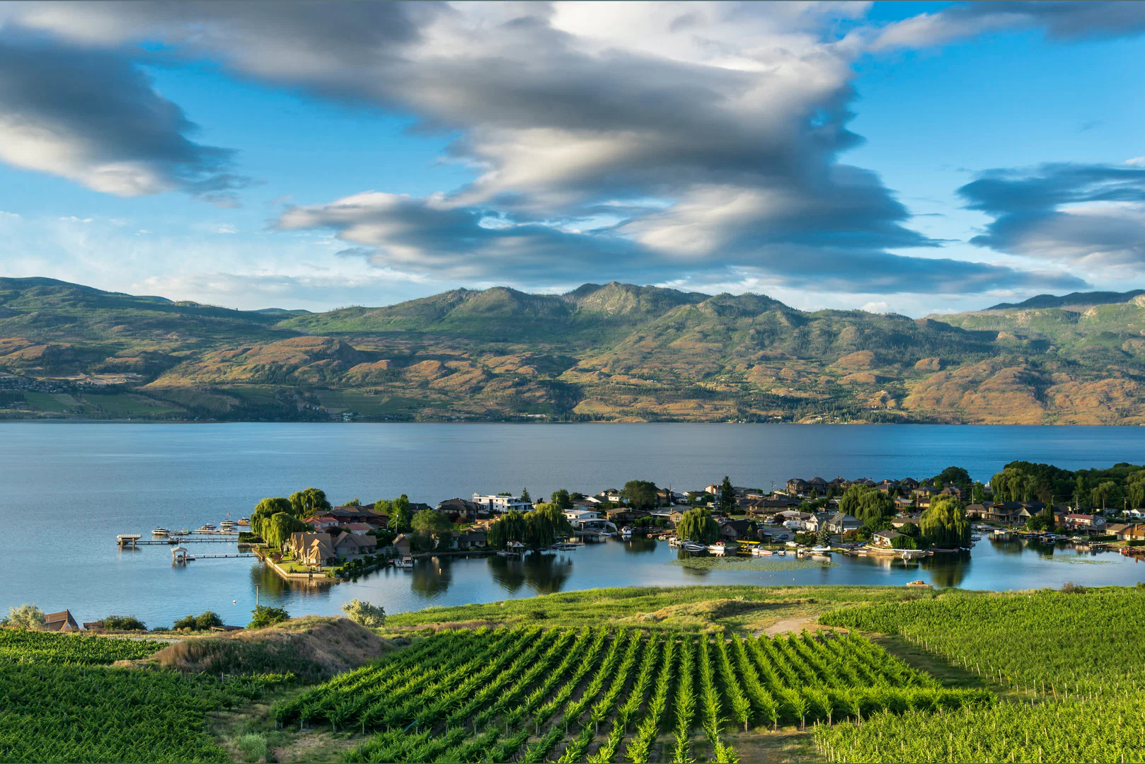 Okanagan Babes profile banner