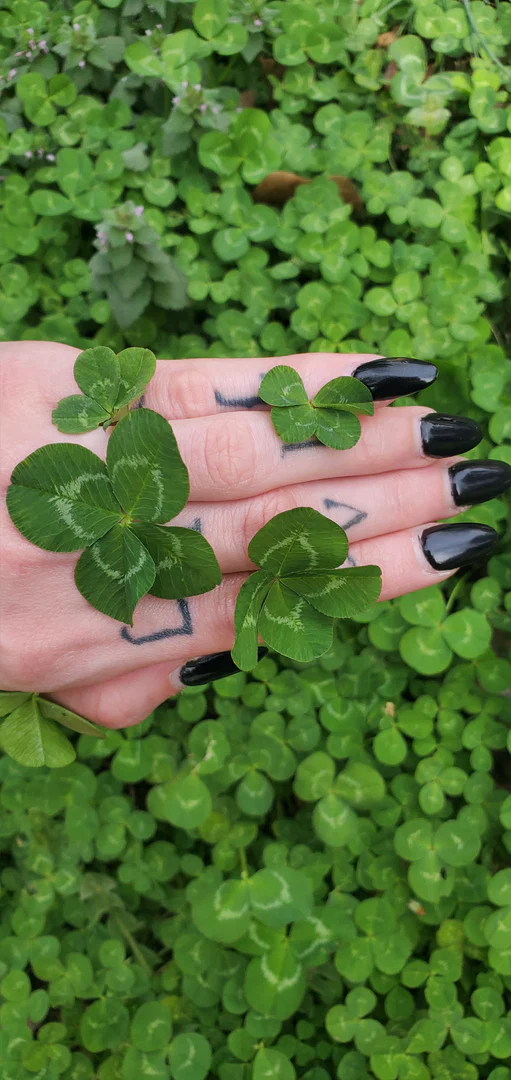 cloverthelucky profile banner