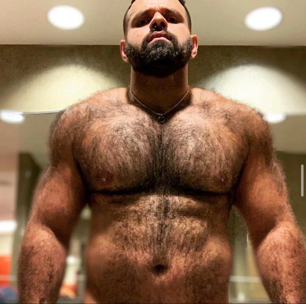 Brazilian_big_bear