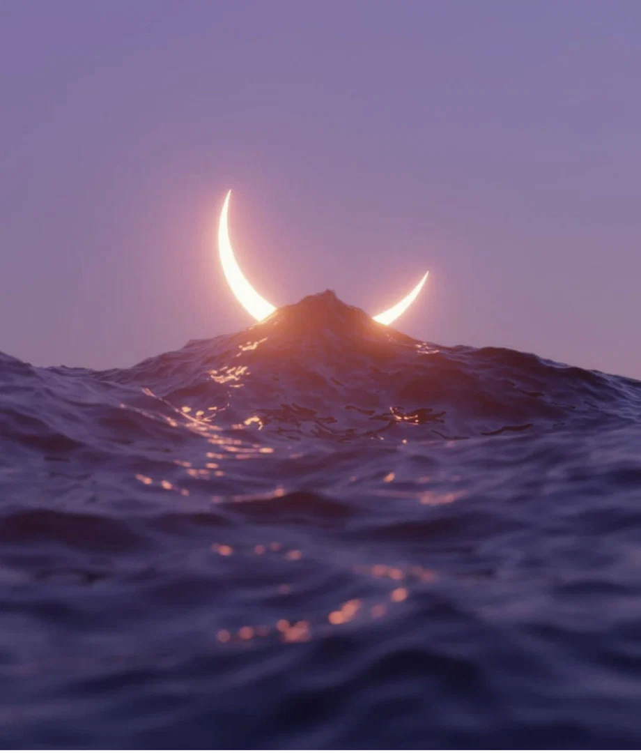 Ocean ✨ profile banner