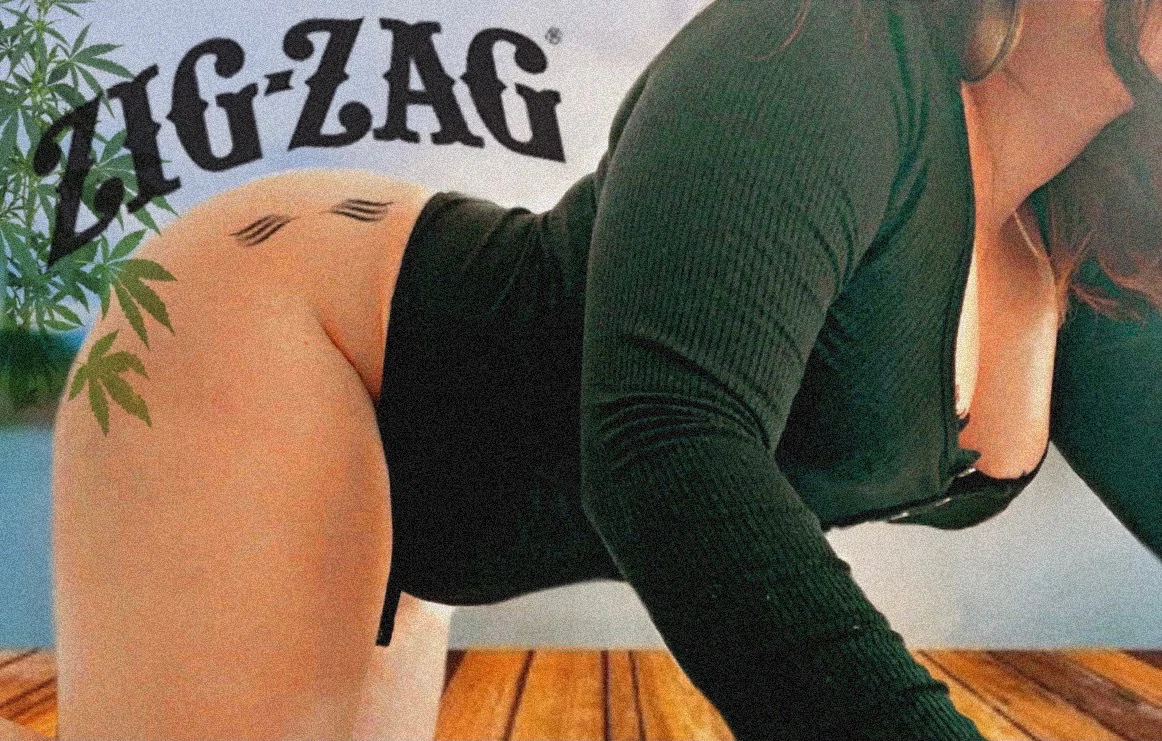 Holli profile banner
