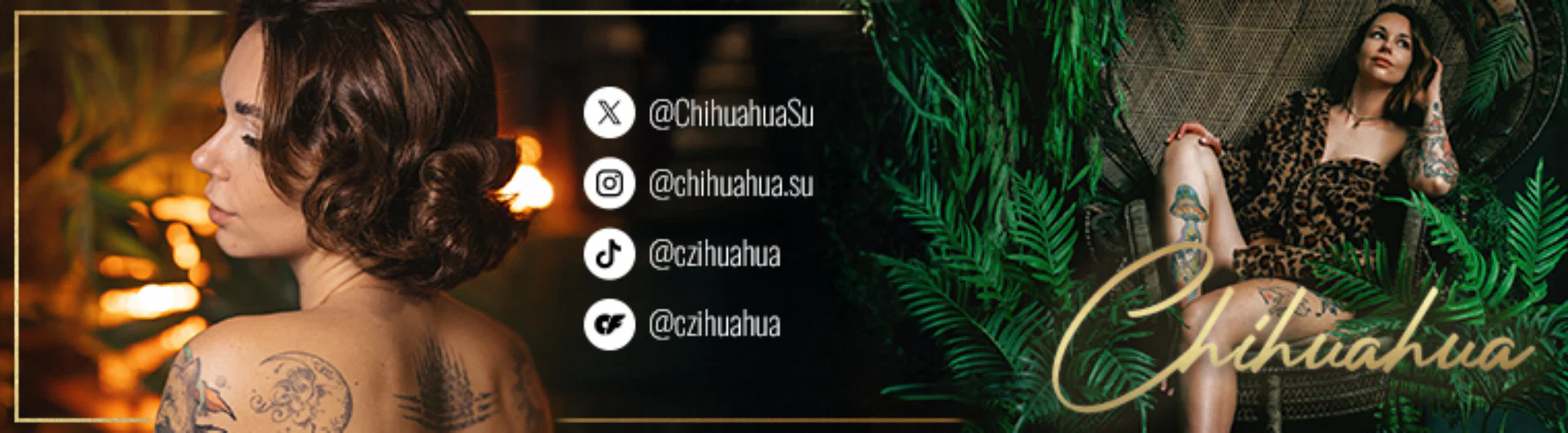 Pola profile banner