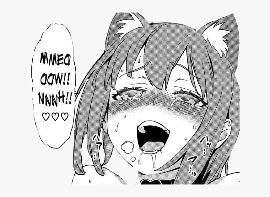 Kitty profile banner