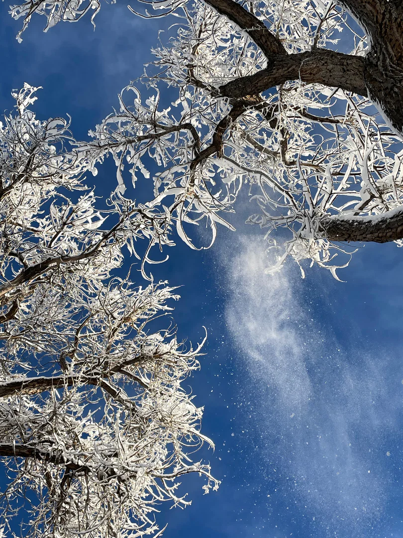 Raven Snow profile banner