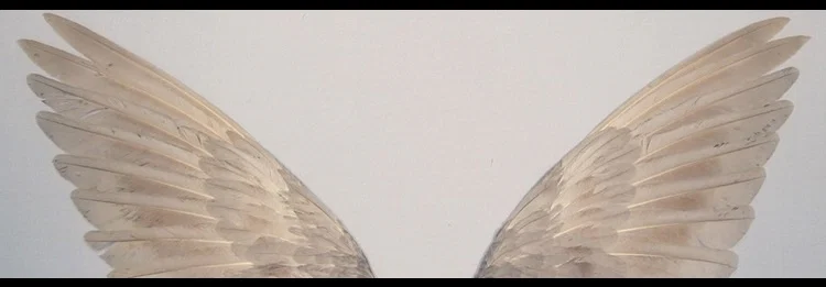 Pixie profile banner