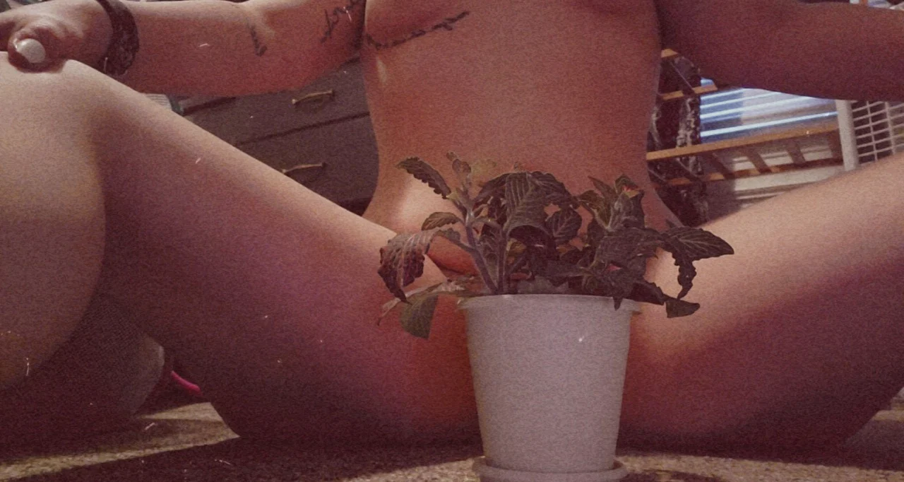 Green thumb & pink pussy💦🌿🤤 profile banner