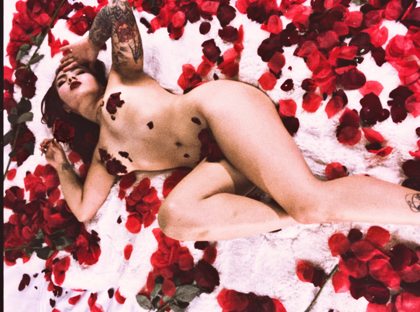Dark Blossom profile banner