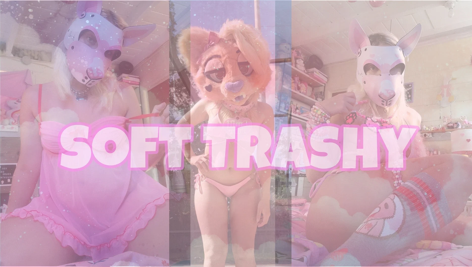 Trashy Lil Kitty profile banner
