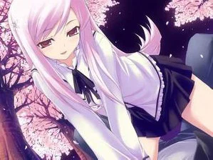 Pan profile banner