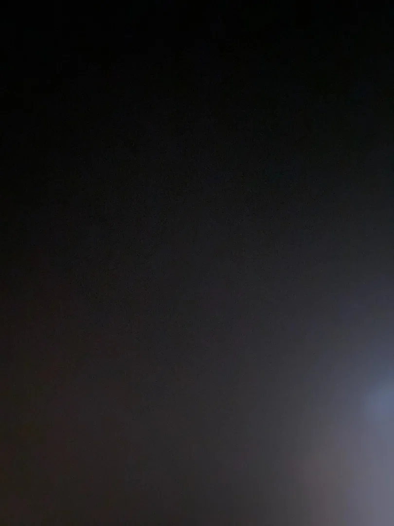Ellie profile banner