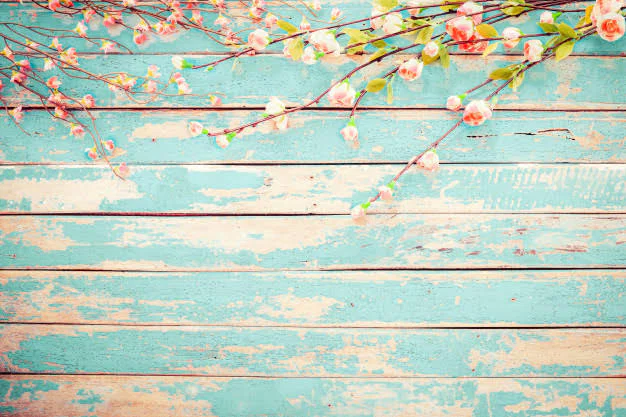 Paola profile banner
