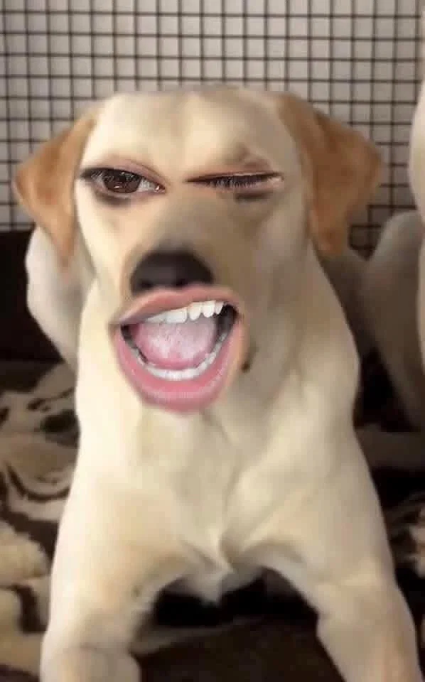 Sugar Daddy's avatar