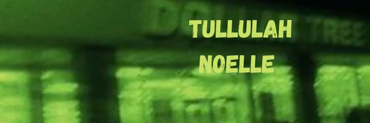 Tullulah Noelle profile banner