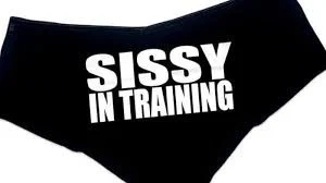 My Sissy Harem profile banner