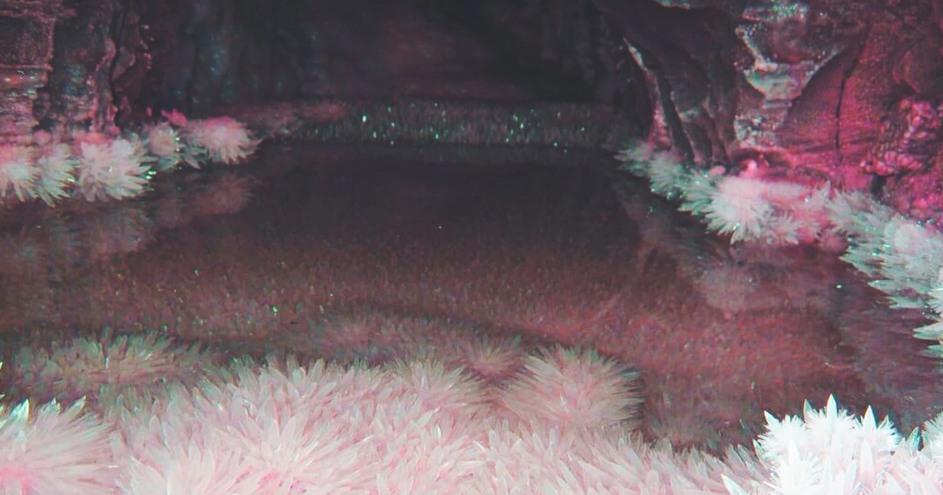 SariahLynn profile banner