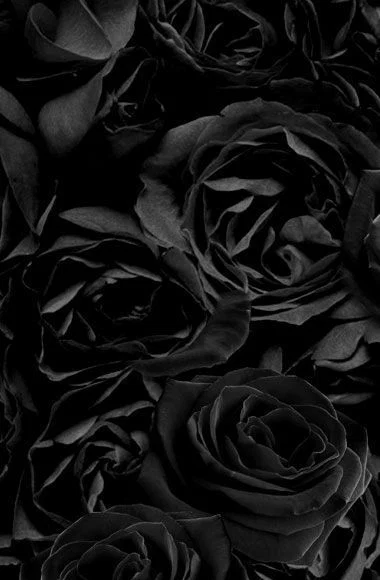 Lea D profile banner