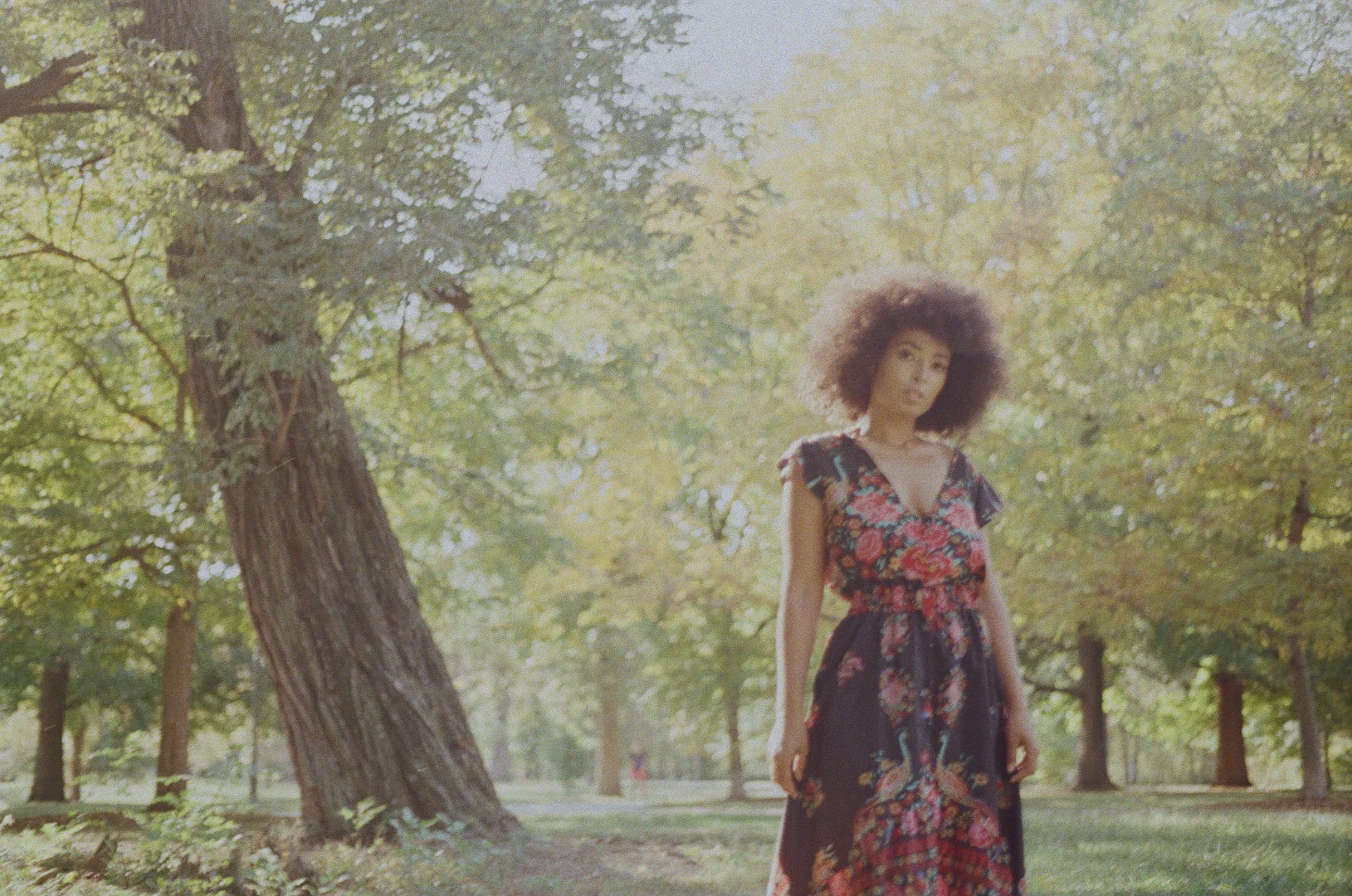 Kash Monae Live profile banner
