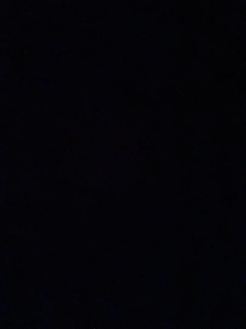 Morgan profile banner