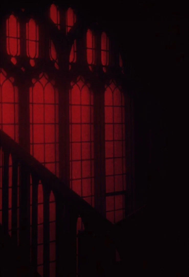 lady lunabaeya ππ° profile banner