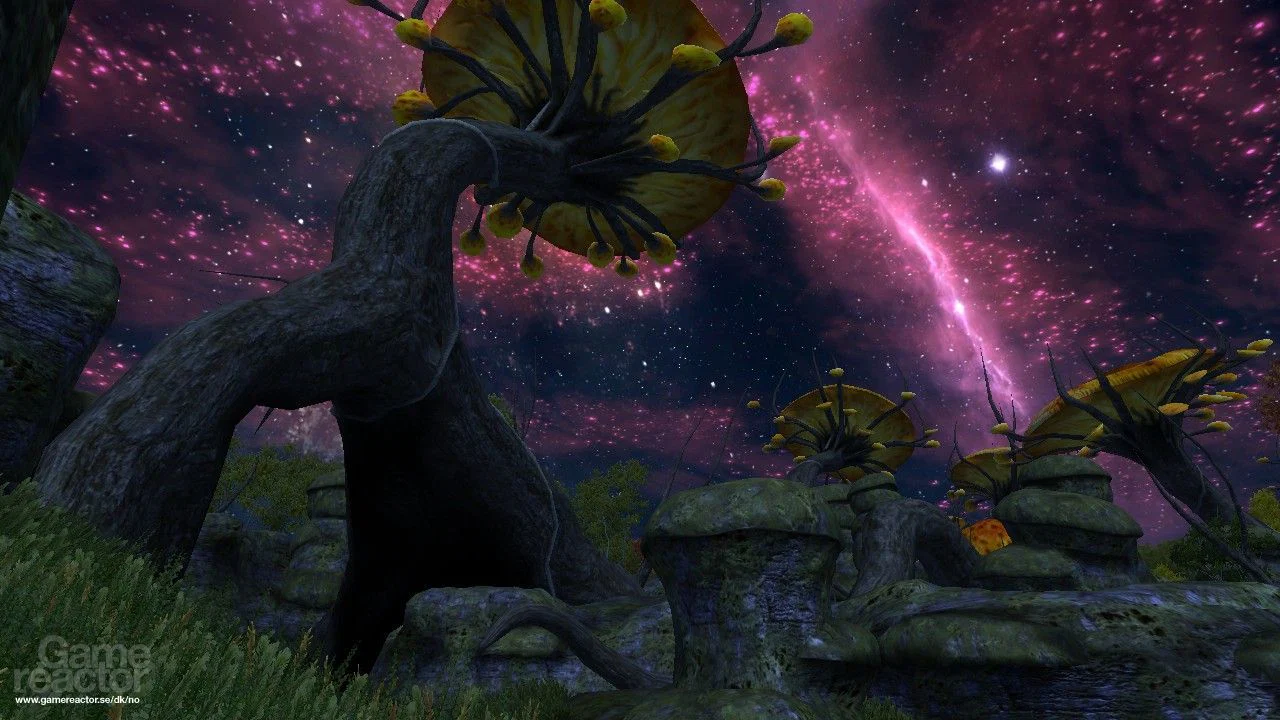 Prim profile banner