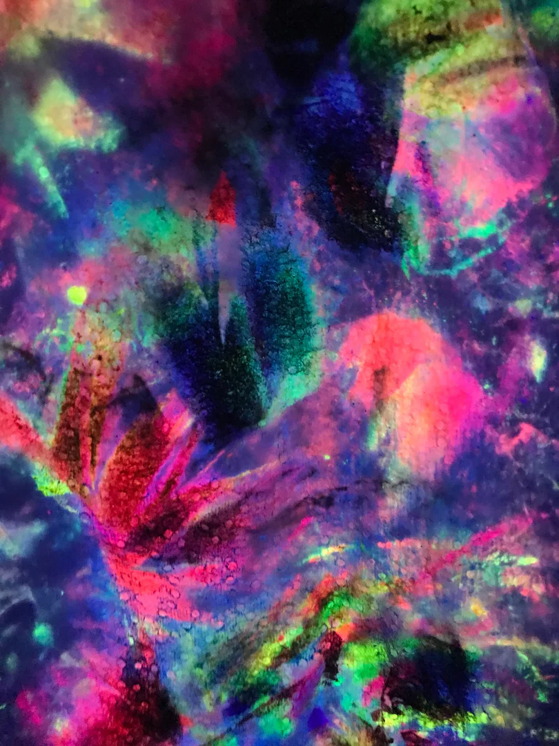 Bunny profile banner