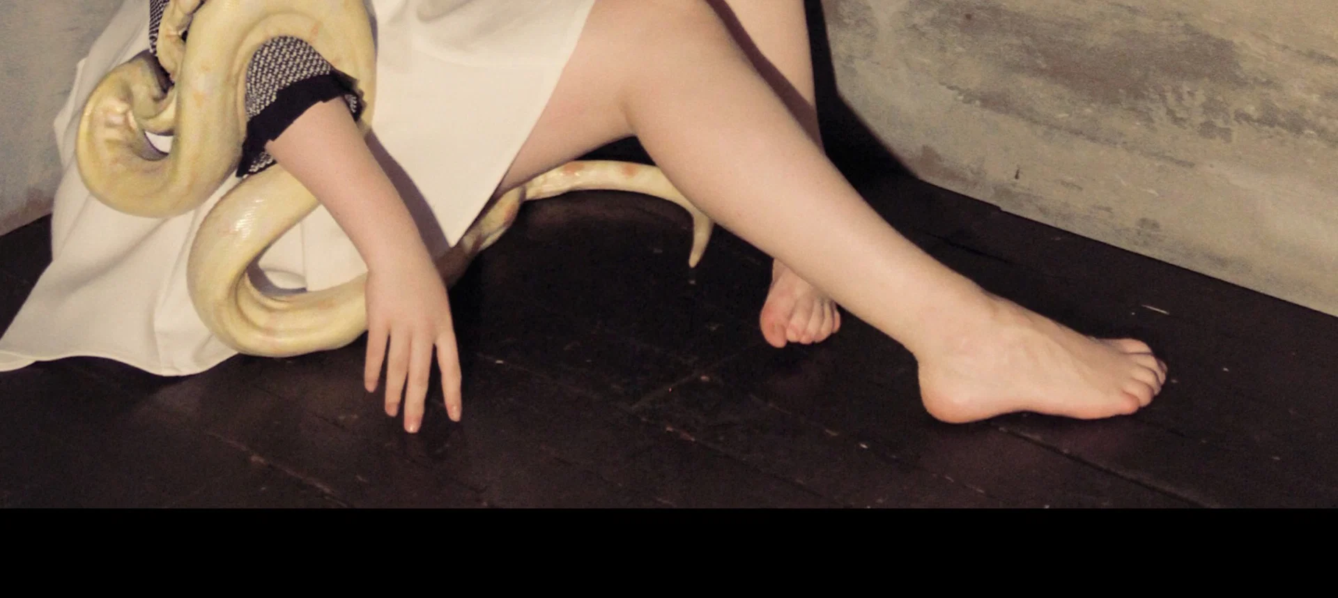 Alis profile banner