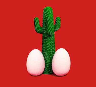 Cactos Magazine's avatar