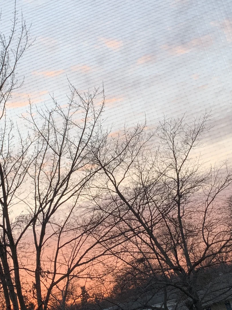 ππ¨π§ππ² profile banner