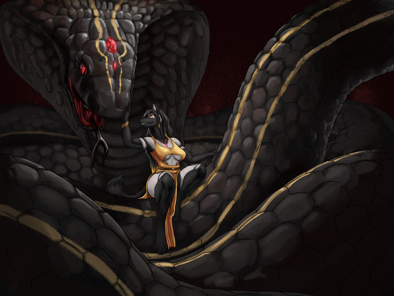 Alexander profile banner