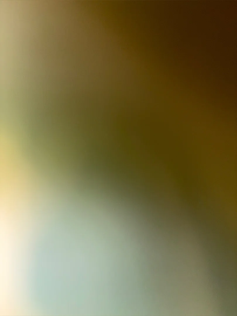 Ale Rabbit profile banner