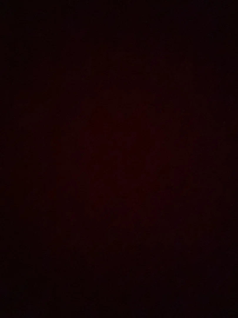 Natalia May profile banner