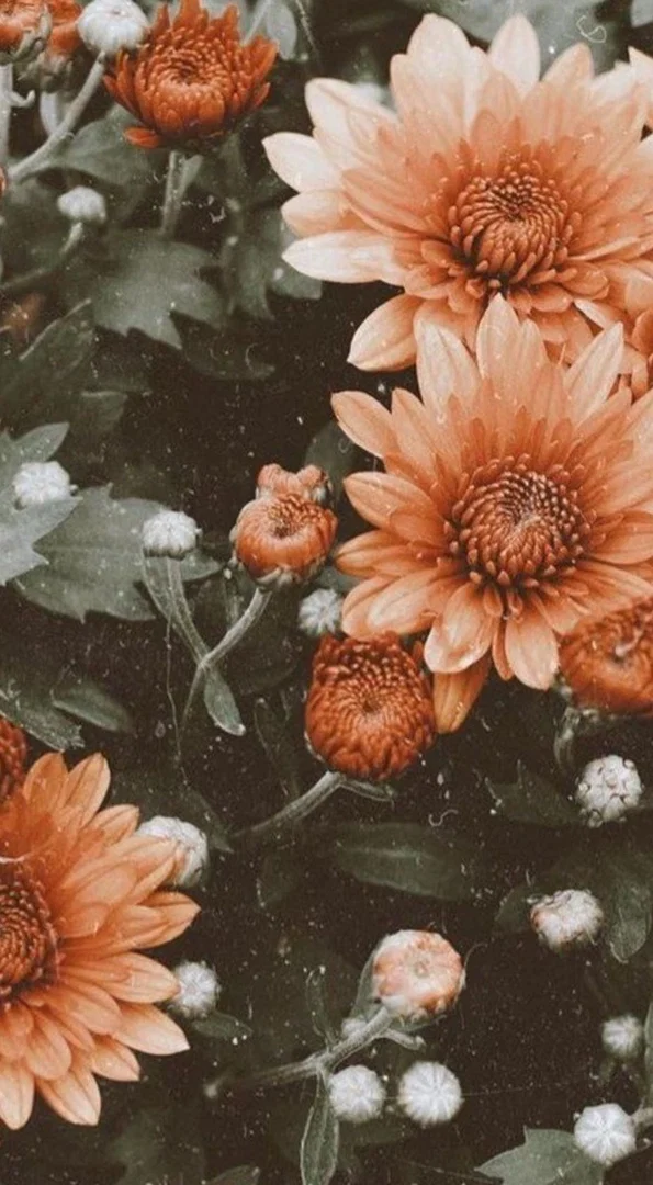 The real Jenna Jay fREE 🥵🍦 profile banner