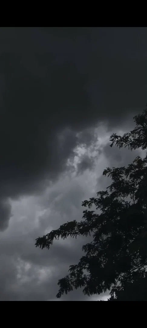 Black scorpio profile banner
