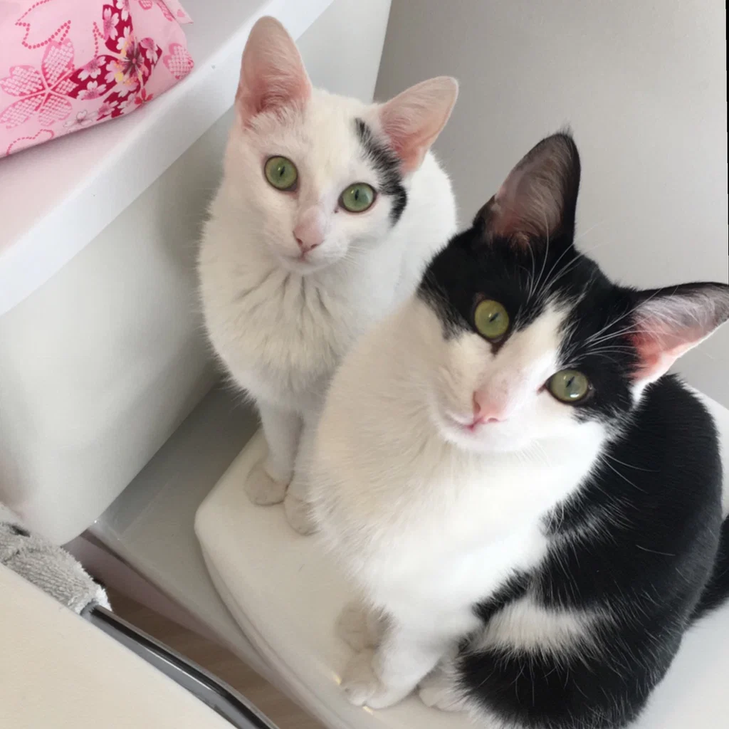 Shelly&amp;Sammy's avatar