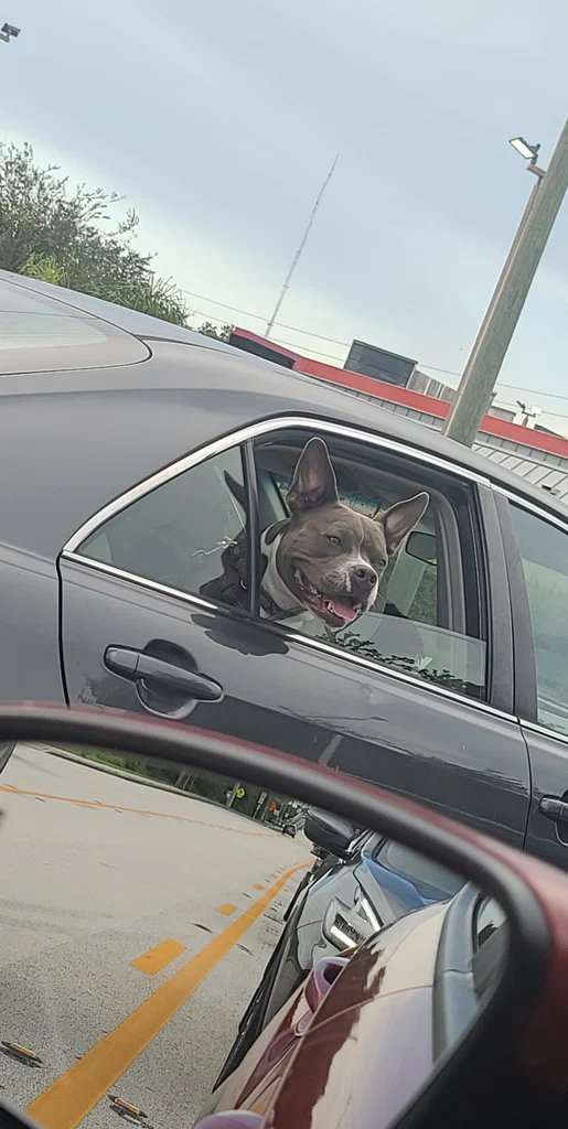 Jr