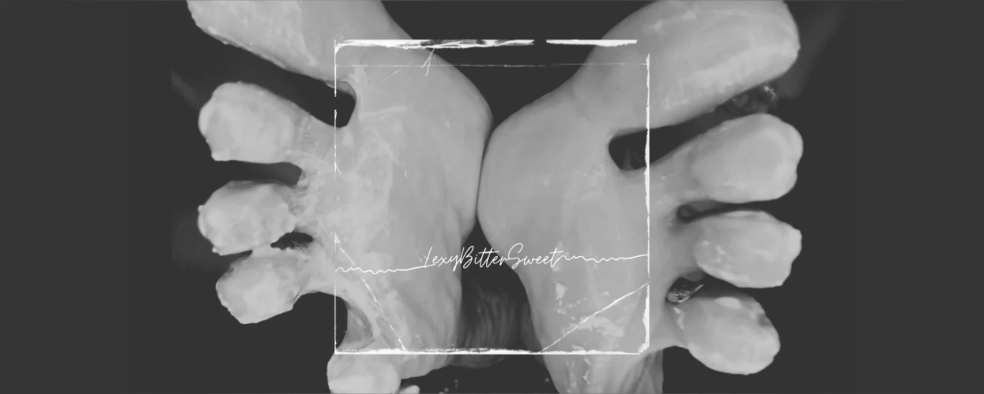Lexy Bittersweet profile banner