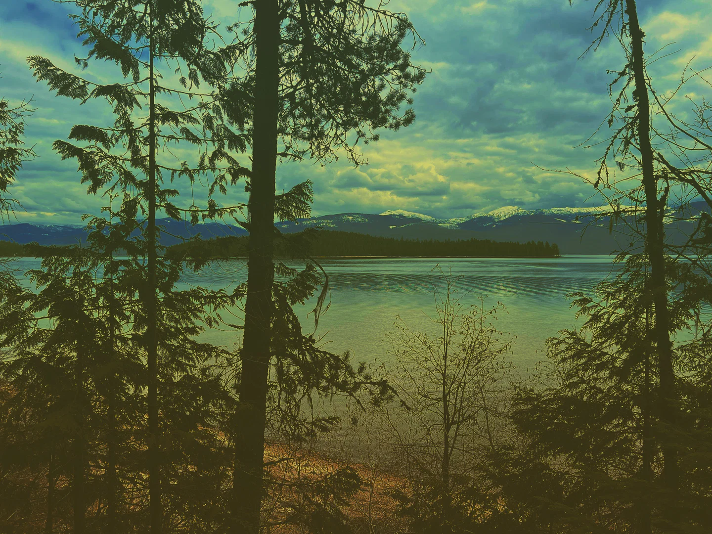 Claire Fisher profile banner