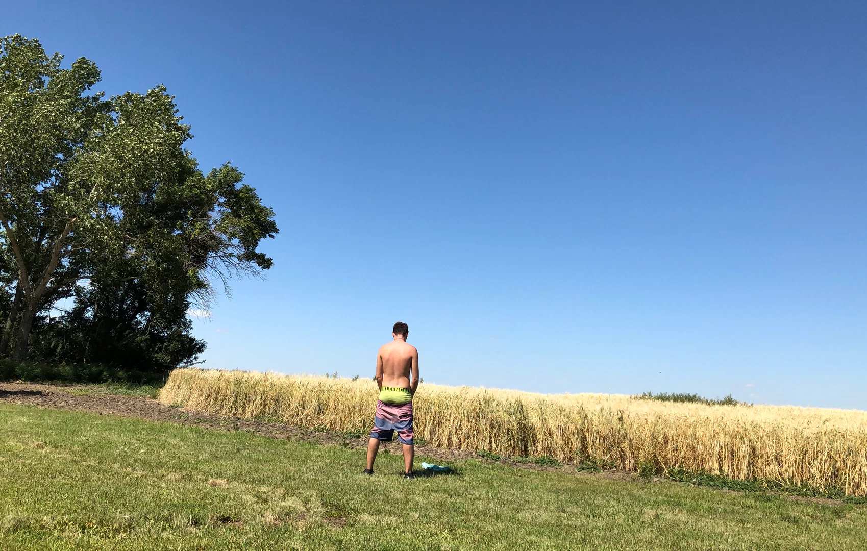 pflanzdaddy profile banner