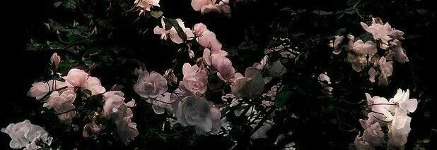 Elle Satin profile banner