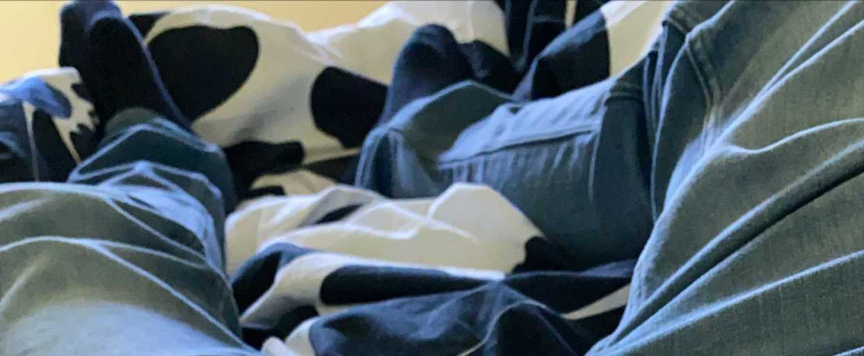 Socks Guy profile banner